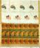 SAREES NEGAMAM WITH BLOUSE